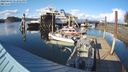 ./images/quadra/hbidock/20240403/hbidock20240403_173501M.jpg