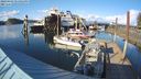 ./images/quadra/hbidock/20240403/hbidock20240403_174501M.jpg