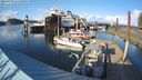 ./images/quadra/hbidock/20240403/hbidock20240403_175001M.jpg