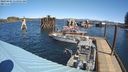 ./images/quadra/hbidock/20240404/hbidock20240404_115501M.jpg