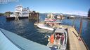 ./images/quadra/hbidock/20240404/hbidock20240404_150002M.jpg