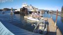./images/quadra/hbidock/20240404/hbidock20240404_170501M.jpg