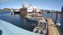 ./images/quadra/hbidock/20240405/hbidock20240405_113001M.jpg