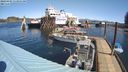 ./images/quadra/hbidock/20240405/hbidock20240405_113501M.jpg