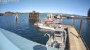 ./images/quadra/hbidock/20240405/hbidock20240405_141001M.jpg
