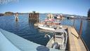 ./images/quadra/hbidock/20240405/hbidock20240405_142002M.jpg