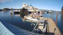 ./images/quadra/hbidock/20240405/hbidock20240405_165002M.jpg