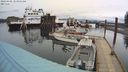 ./images/quadra/hbidock/20240406/hbidock20240406_103001M.jpg