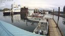 ./images/quadra/hbidock/20240407/hbidock20240407_103002M.jpg