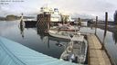./images/quadra/hbidock/20240407/hbidock20240407_104502M.jpg