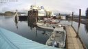 ./images/quadra/hbidock/20240407/hbidock20240407_105001M.jpg