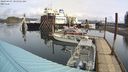 ./images/quadra/hbidock/20240407/hbidock20240407_105502M.jpg