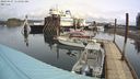 ./images/quadra/hbidock/20240407/hbidock20240407_111501M.jpg