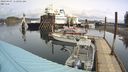 ./images/quadra/hbidock/20240407/hbidock20240407_112001M.jpg
