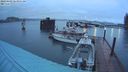 ./images/quadra/hbidock/20240408/hbidock20240408_063501M.jpg