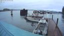 ./images/quadra/hbidock/20240408/hbidock20240408_065001M.jpg