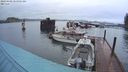 ./images/quadra/hbidock/20240408/hbidock20240408_065502M.jpg