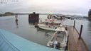./images/quadra/hbidock/20240408/hbidock20240408_072002M.jpg