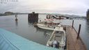 ./images/quadra/hbidock/20240408/hbidock20240408_073001M.jpg