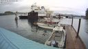 ./images/quadra/hbidock/20240408/hbidock20240408_084001M.jpg