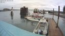 ./images/quadra/hbidock/20240408/hbidock20240408_105501M.jpg