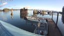 ./images/quadra/hbidock/20240409/hbidock20240409_091501M.jpg