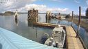 ./images/quadra/hbidock/20240409/hbidock20240409_112501M.jpg