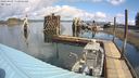 ./images/quadra/hbidock/20240409/hbidock20240409_113001M.jpg