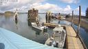 ./images/quadra/hbidock/20240409/hbidock20240409_113501M.jpg