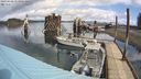 ./images/quadra/hbidock/20240409/hbidock20240409_114501M.jpg