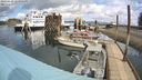 ./images/quadra/hbidock/20240409/hbidock20240409_123001M.jpg