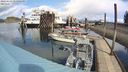 ./images/quadra/hbidock/20240409/hbidock20240409_131001M.jpg