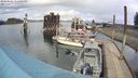 ./images/quadra/hbidock/20240409/hbidock20240409_141501M.jpg