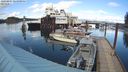 ./images/quadra/hbidock/20240409/hbidock20240409_165001M.jpg