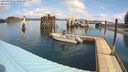 ./images/quadra/hbidock/20240412/hbidock20240412_113001M.jpg
