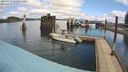 ./images/quadra/hbidock/20240412/hbidock20240412_115002M.jpg