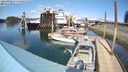 ./images/quadra/hbidock/20240412/hbidock20240412_145001M.jpg