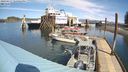 ./images/quadra/hbidock/20240413/hbidock20240413_125502M.jpg