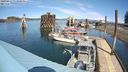 ./images/quadra/hbidock/20240413/hbidock20240413_133501M.jpg