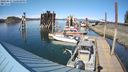 ./images/quadra/hbidock/20240413/hbidock20240413_160501M.jpg