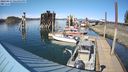 ./images/quadra/hbidock/20240413/hbidock20240413_161501M.jpg