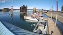 ./images/quadra/hbidock/20240413/hbidock20240413_162501M.jpg