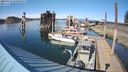./images/quadra/hbidock/20240413/hbidock20240413_163001M.jpg