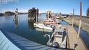 ./images/quadra/hbidock/20240413/hbidock20240413_163501M.jpg