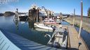 ./images/quadra/hbidock/20240413/hbidock20240413_165001M.jpg