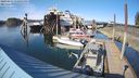 ./images/quadra/hbidock/20240413/hbidock20240413_170001M.jpg