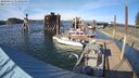 ./images/quadra/hbidock/20240413/hbidock20240413_173001M.jpg