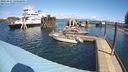 ./images/quadra/hbidock/20240415/hbidock20240415_124001M.jpg