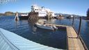 ./images/quadra/hbidock/20240416/hbidock20240416_104000M.jpg