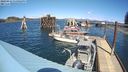 ./images/quadra/hbidock/20240416/hbidock20240416_135002M.jpg